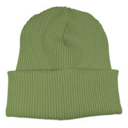 Hipster Mütze grün